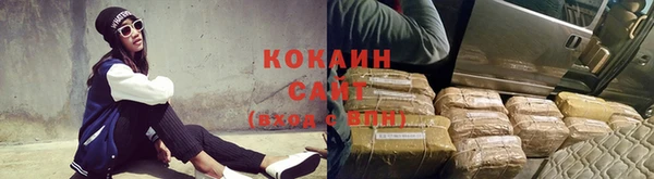 крисы Новозыбков
