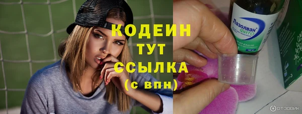 крисы Новозыбков