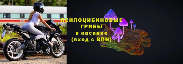 твердый Новокубанск