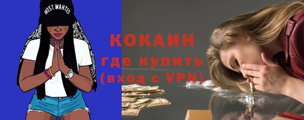 крисы Новозыбков