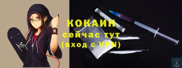 твердый Новокубанск