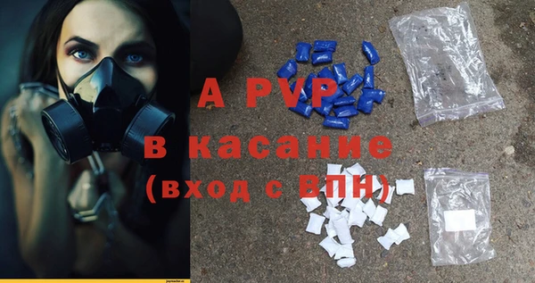 крисы Новозыбков