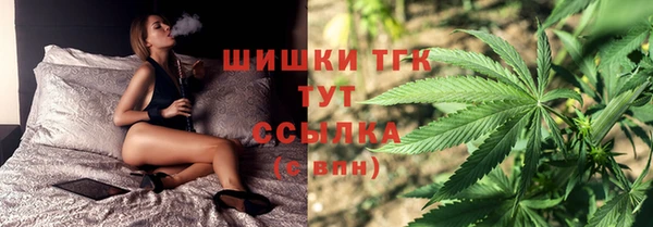 PSILOCYBIN Новодвинск