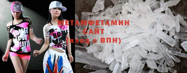 крисы Новозыбков