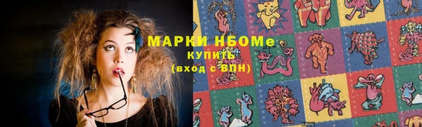 шишки Надым