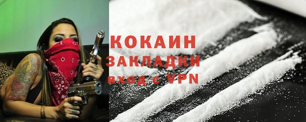 крисы Новозыбков