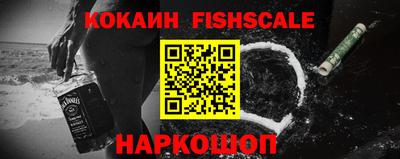 a pvp Камышлов