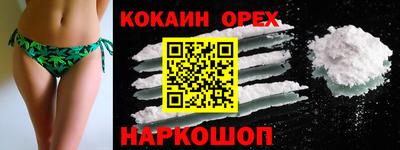a pvp Камышлов