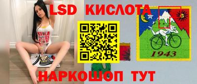 a pvp Камышлов