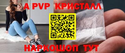 ешки Кингисепп