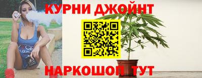 a pvp Камышлов