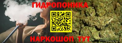 a pvp Камышлов