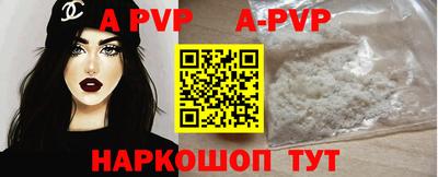 ешки Кингисепп